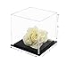 Acrylic Display Case – Versatile Small Rectangle Clear Acrylic Boxes for Display with Black Base – Display Case for Collectibles, Action Figures, Models – 4