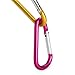 Gold Lion Gear Carabiner 20 Pack - 2