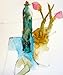 Breaking the Rules of Watercolour (DVD) with Shirley Trevena