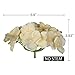 Luyue Silk Hydrangea Heads Artificial Decoration Flowers Garden Floral Decor,Pack of 10 (Champagne)