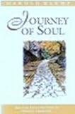 Journey of Soul (Mahanta Transcripts, Book 1)