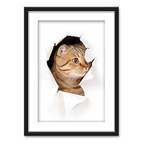 Framed Cat Behind Cracked White Paper Black Picture...