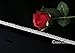 QueenDream Vintage Bridal Belt White Bridesmaid sash Rhinestone Bling Belt Wedding Bridal Belt for Party Evening Dresses Crystal sash Belt