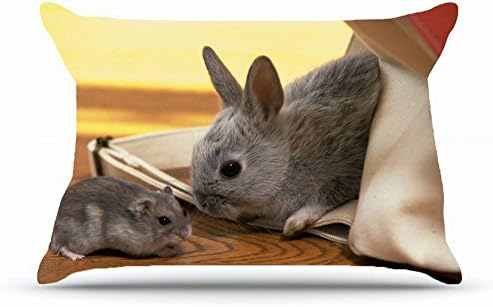 Xcdhhd Queen Pillowcase Size 20x30 Inches Cotton Pillowcases Decorative Pillow Cover Case with Hidden Zipper Decor Cushion Covers - Animals rabbit hamster gray Kids For Outdoor