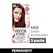 Clairol Nice'n Easy Permanent Hair Dye, 4BG Dark Burgundy Hair Color, Pack of 3