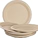 Avant Grub Pro-Grade Biodegradable 10 Inch Plates. Bulk 200 Pk Great for Lunch, Dinner Parties and Potlucks. Disposable Compostable Wheatstraw Paper Alternative. Sturdy, Soakproof and Microwave Safe.