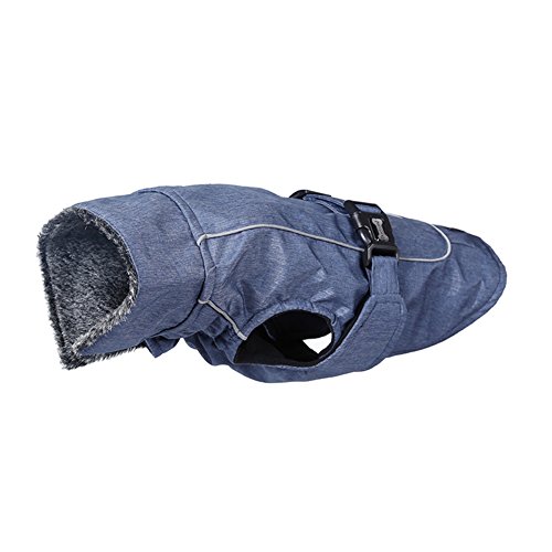 Waterproof Winter Coat Fleece Lined Warm Dog Sports Jacket with Harness Hole & Reflective Strips by DELIFUR (XXL, Blue)
