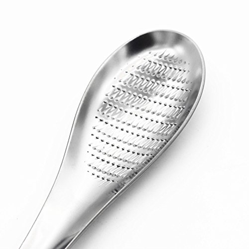 ISKYBOB Stainless Steel Garlic/Ginger Grater Grinder Zester Spoon