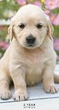 2017-2018 Puppies 2 Year Pocket Calendar by 