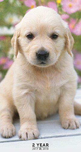 2017-2018 Puppies 2 Year Pocket Calendar by 
