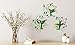 The Paragon Hummingbird Outdoor Patio Wall Decor - 3 Piece Garden Wall Ornaments, Outdoor or Indoor Decoration