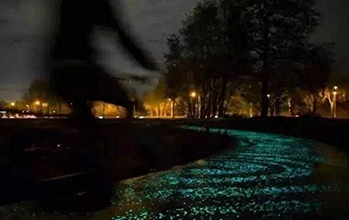 Glow in the Dark Glow Stones, Fish Tank Aquarium Gravel Rocks, Decorative Glow Stones,Glowing Pebbles Luminous Gravel Rock for Home Garden Walkway Decoration (15-22mm, Yellow Green,280g/9.87oz)