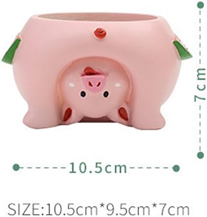 Youfui Cute Succulent Flowerpot for Home Decoration Gift (Pig), Middle - Image 4