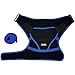 Tribe Lifting Shoulder Support Brace - Non-Slip Neoprene Posture Support | for Men and Women (Blue)