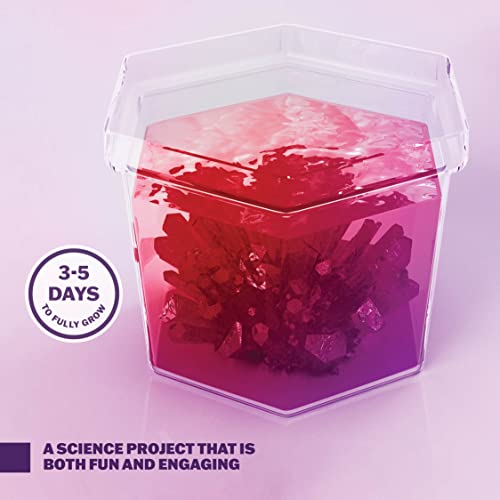 Crystal Growing Kit for Kids Science Experiments Gifts for Boys