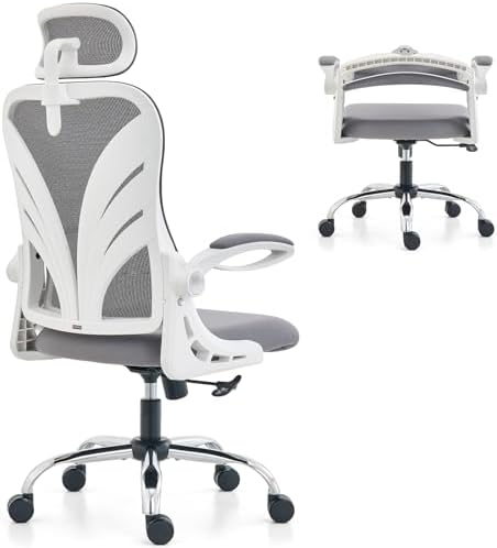 HOLLUDLE Ergonomic Office Chair with Foldable Backrest, Computer