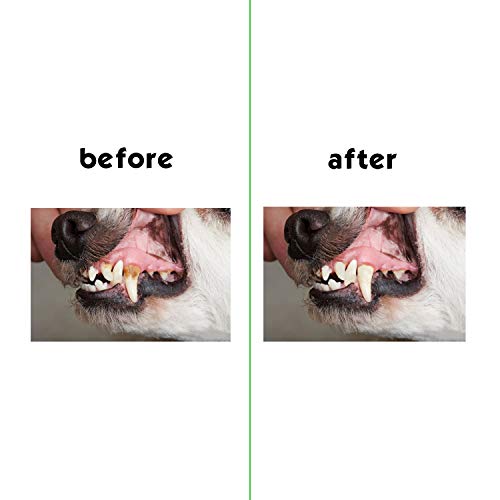 BAMOMBY Dog Toothbrush Stick Brushing Stick - Dog Toothbrush Dog Tooth Brush Brushing Stick for Dogs Pets Oral Care (Green)