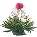 Grosche Jasmine Blooming Tea Flowering Tea Variety Gift Set - Includes 12 blooming teas