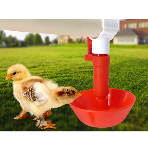 4Pcs Chicken Water Feeder - Geflügeltränke Trinkbecher Kükenfutter für Gartendekoration Vögel und Tiere – Bild 5