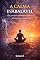 Livro A Calma inabalável : Como desenvolver autocontrole emocional, disciplina mental e resiliência em um mundo caótico