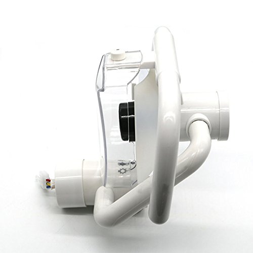 Science Lab Education Support Dental Halogen Lamps, Daylight Oral Lamps, Dental Equipment, Dental Chair Accessories, Dental Chair Oral Examination Lights 22mm