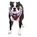 Authentic Puppia Vivien Harness, Purple, Medium