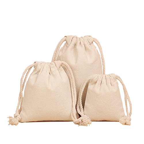 image for Bister Pack of 4 Canvas Coin Money Sacks Bag Deposit Change Bags Trans