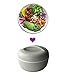 Bento Box Lunch Bowl + Salad Container for Adults, Women, Teens. Grey, Large