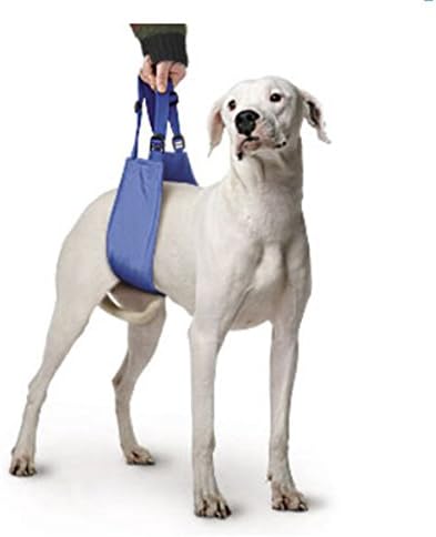 Quick Lift Four Flags Original, Large Dog