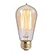 Bulbrite NOS60-1910 60-watt Incandescent Nostalgic 1910 Thread A19 with Medium Base, Antique (6 Pack)