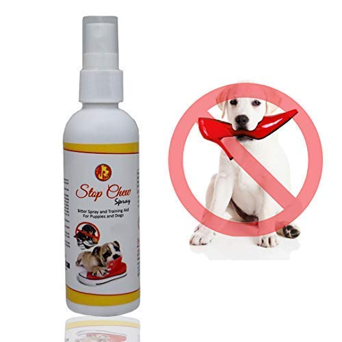 international pet care