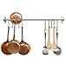 Fasthomegoods Stainless Steel Gourmet Kitchen Wall Rail with 10 Large S Hooks
