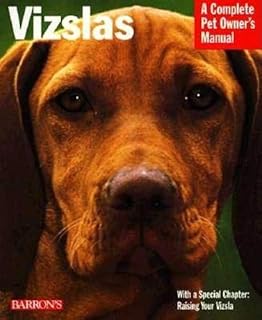 fully trained vizsla for sale