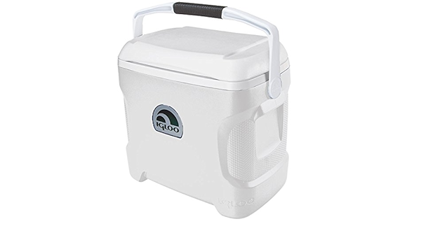 Igloo Marine Cooler Ultra 30 cuartos de galón : Amazon.es ...
