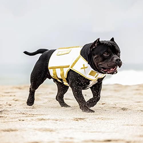 XDOG Weight & Fitness Vest for Dogs A Weighted Dog Vest Used to Build