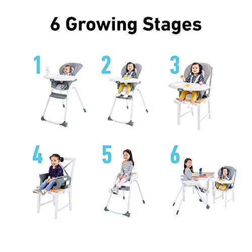 Graco Made2Grow 6 in 1 High Chair | Converts to Dining Booster Seat, Youth Stool, and More, Tasha