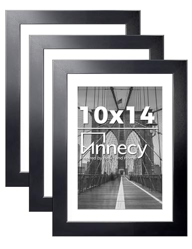 Annecy 10x14 Picture Frame Set of 3, Display