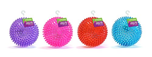 Gnawsome Large Squeaker Ball Dog Toy, Extra Large 4.5"h, Colors will vary