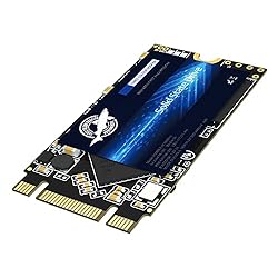 Dogfish SSD SATA M.2 2242 1TB Ngff Internal Solid