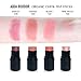 Aqua Boudoir Natural Organic Lip Cheek Tint Stick, Non-Toxic Vegan Cruelty Free Cream Face Blush Makeup Shade Stick - color 100 Pink Frost