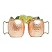 Advanced Mixology [Gift Set] Authentic Moscow Mule Mugs Set of 2 (16oz) | Solid Barrel 100% Copper Mugs Set w/ 2 Straws, 2 Wooden Coasters & 1 Shot Glass | Tarnish-Resistant Food Grade Lacquer Coat