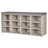 DINZI LVJ Shoe Storage Bench with Cushion, Cubby