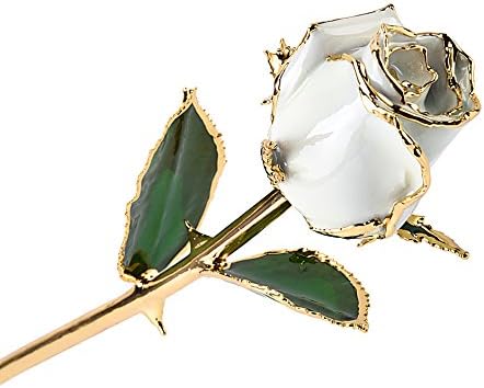 M Dream Graduation Gifts for Her, Long Stem Trimmed 24K Gold Plated Real Rose White 11 Inches Set of 1,Best Gift for Valentine's Day, Mother's Day, Anniversary, Birthday (Milky White)