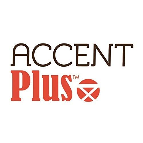 Accent Plus The End of The Trail Statue 8.5x4.5x11
