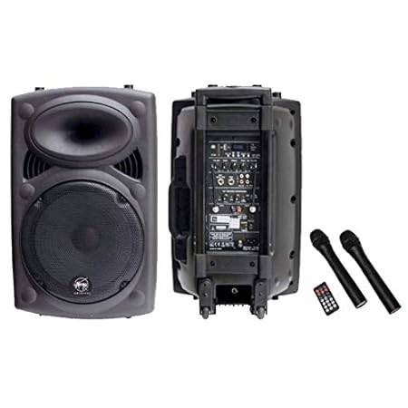aerons 18 inch speaker