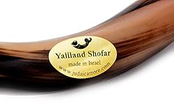 Yemenite Kudu Horn Shofar Shofars with Free Anti