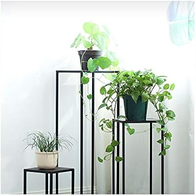 HNLJ Estante De Flores De Hierro Forjado Estante De Maceta De ...