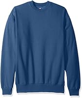 Hanes mens Ecosmart Fleece Sweatshirt