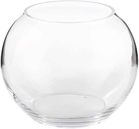 Amazon Com Decorative Sphere Glass Fish Bowl Vase Terrarium