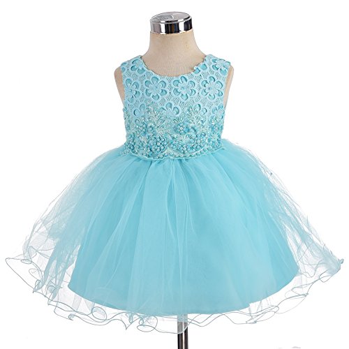 Dressy Daisy Baby-Girls' Floral Beaded Wedding Flower Girl Party Pageant Dresses Size 9-12 Months Blue